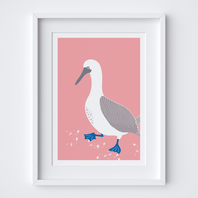 Blue Footed Booby Art Print