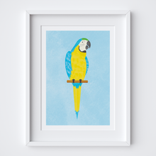 Load image into Gallery viewer, Laughing Macaw Art Print