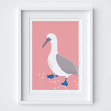Load image into Gallery viewer, Blue Footed Booby Art Print