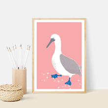 Load image into Gallery viewer, Blue Footed Booby Art Print