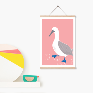 Blue Footed Booby Art Print