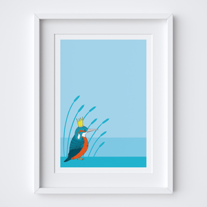 Royal Kingfisher Art Print