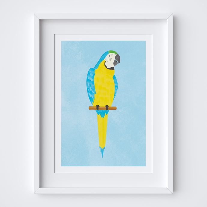 Laughing Macaw Art Print